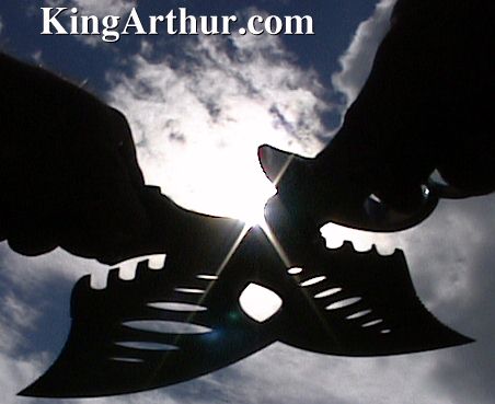 Trespass against us?